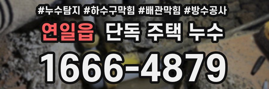 연일읍 단독 주택 누수