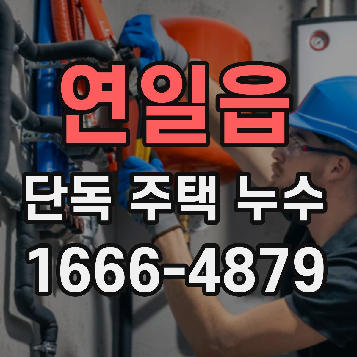 연일읍 단독 주택 누수