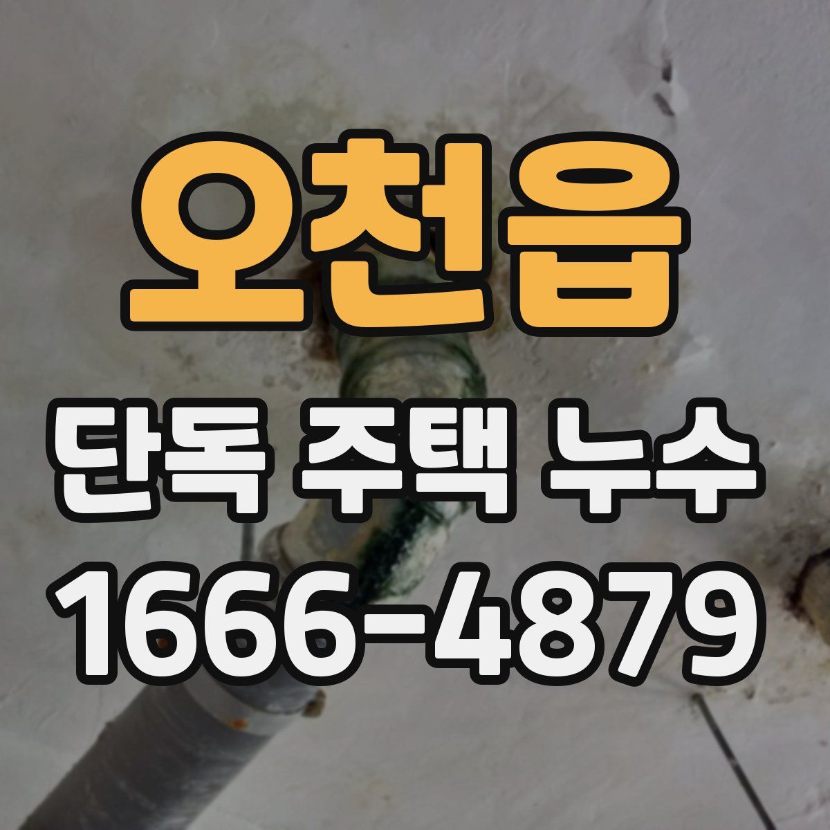 오천읍 단독 주택 누수