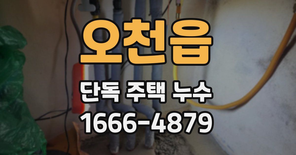 오천읍 단독 주택 누수