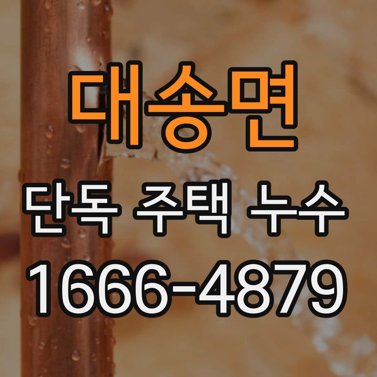 대송면 단독 주택 누수