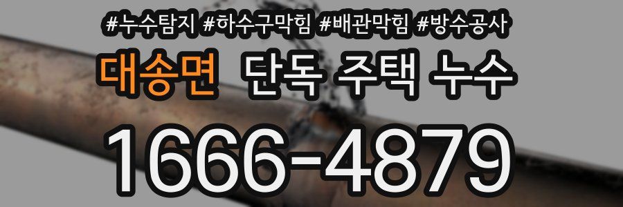 대송면 단독 주택 누수