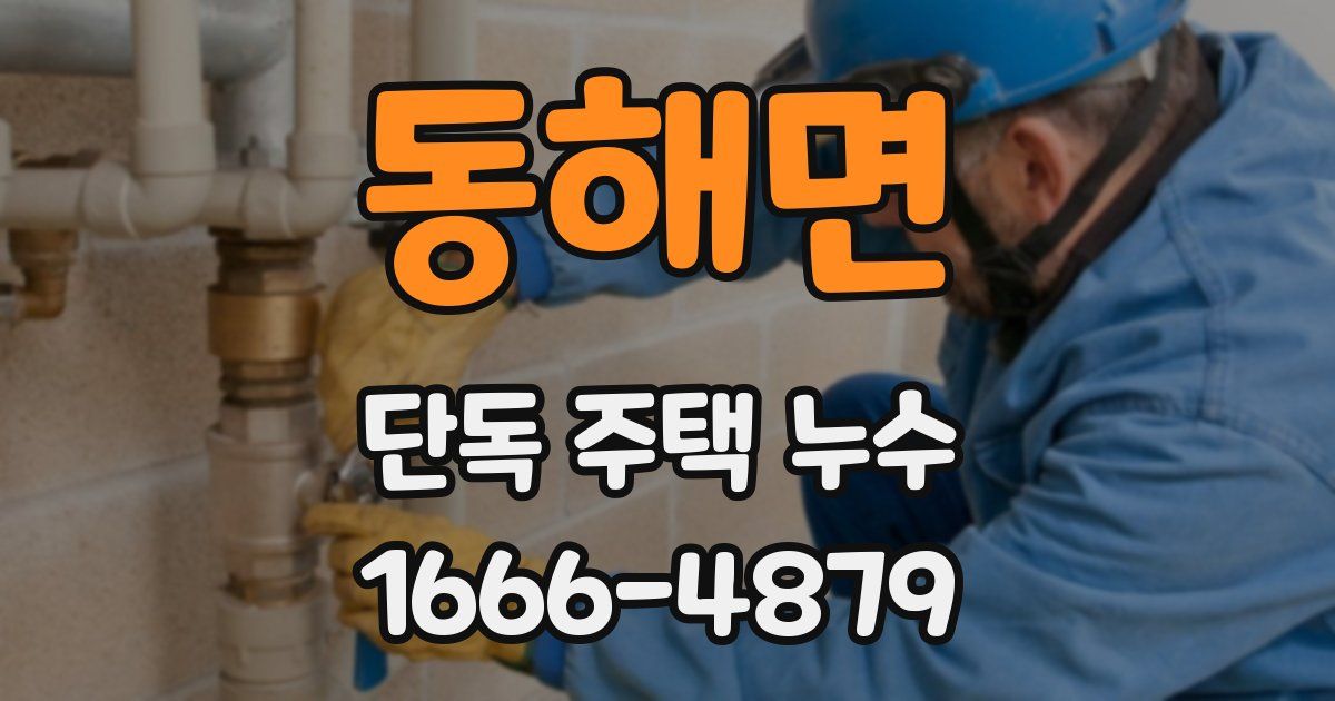 동해면 단독 주택 누수