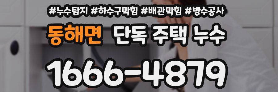 동해면 단독 주택 누수