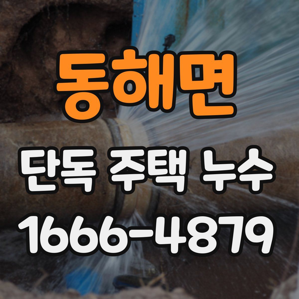 동해면 단독 주택 누수