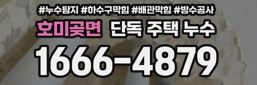 호미곶면 단독 주택 누수