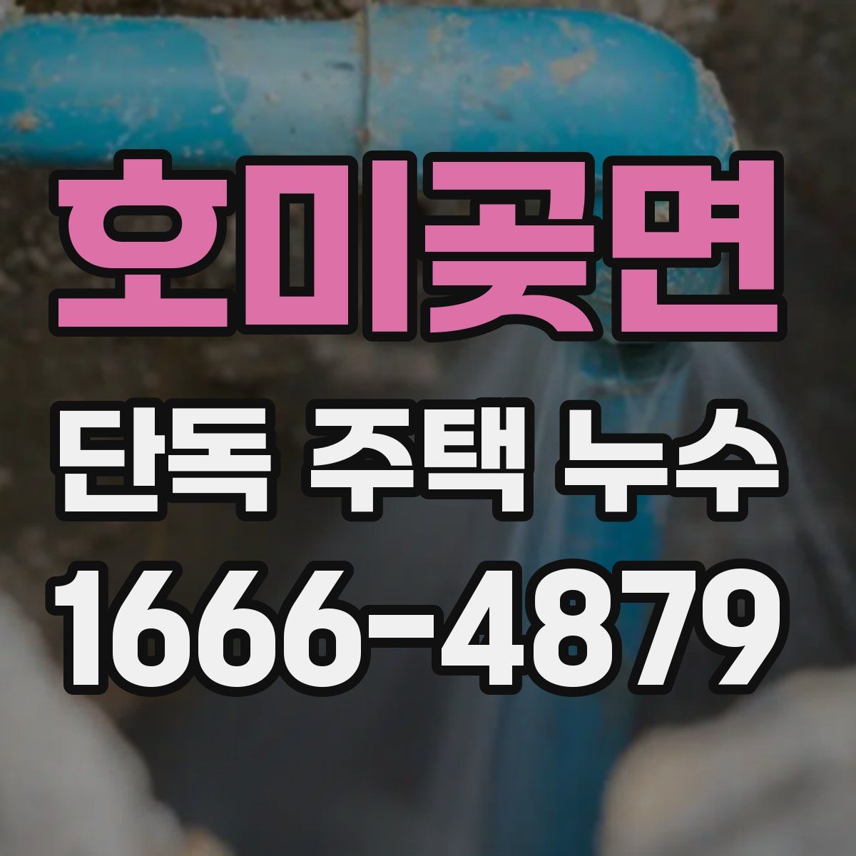 호미곶면 단독 주택 누수