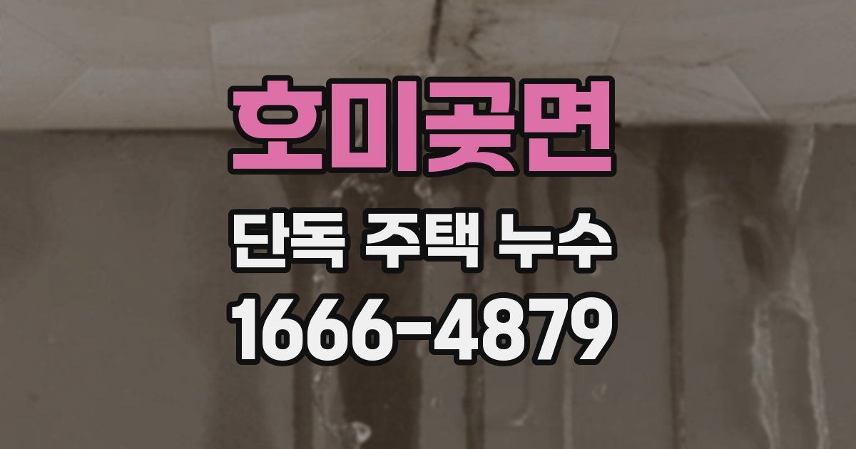 호미곶면 단독 주택 누수