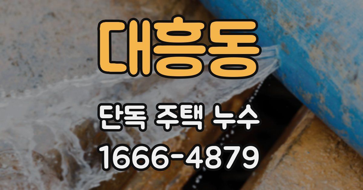 대흥동 단독 주택 누수