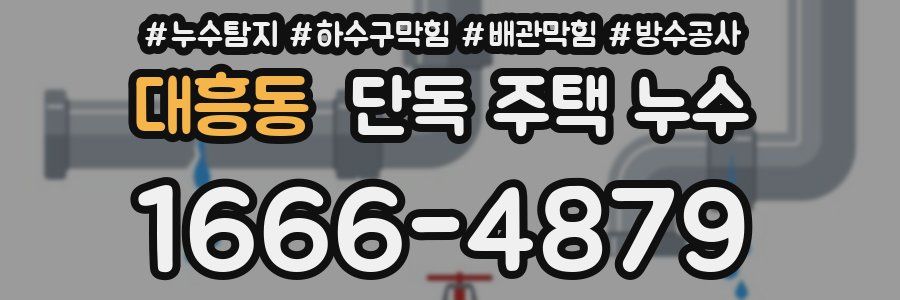 대흥동 단독 주택 누수