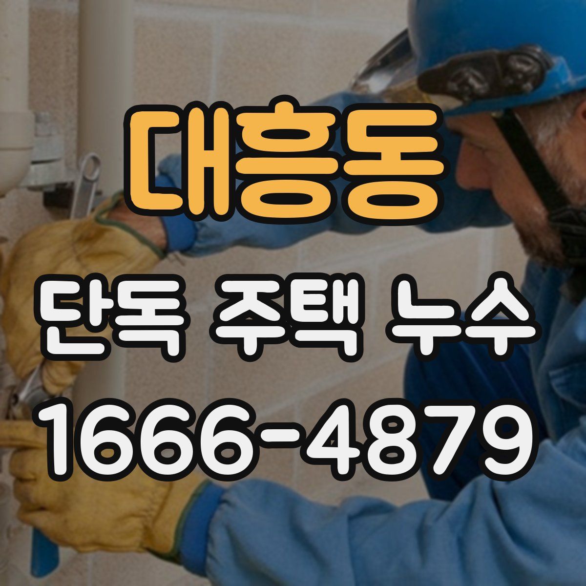 대흥동 단독 주택 누수
