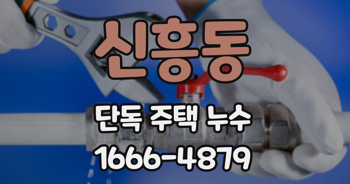 신흥동 단독 주택 누수