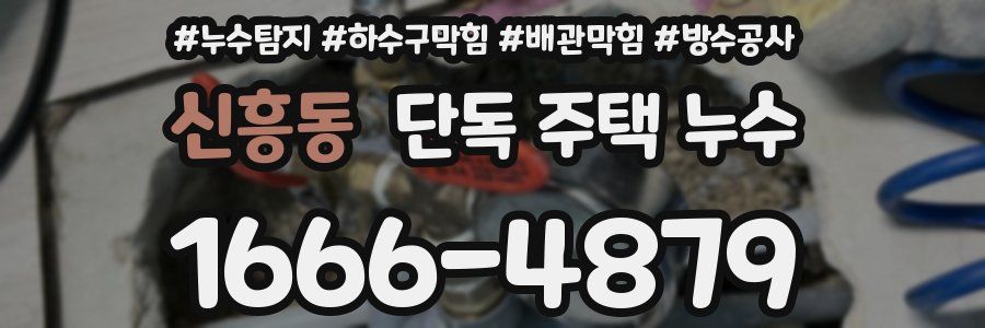 신흥동 단독 주택 누수