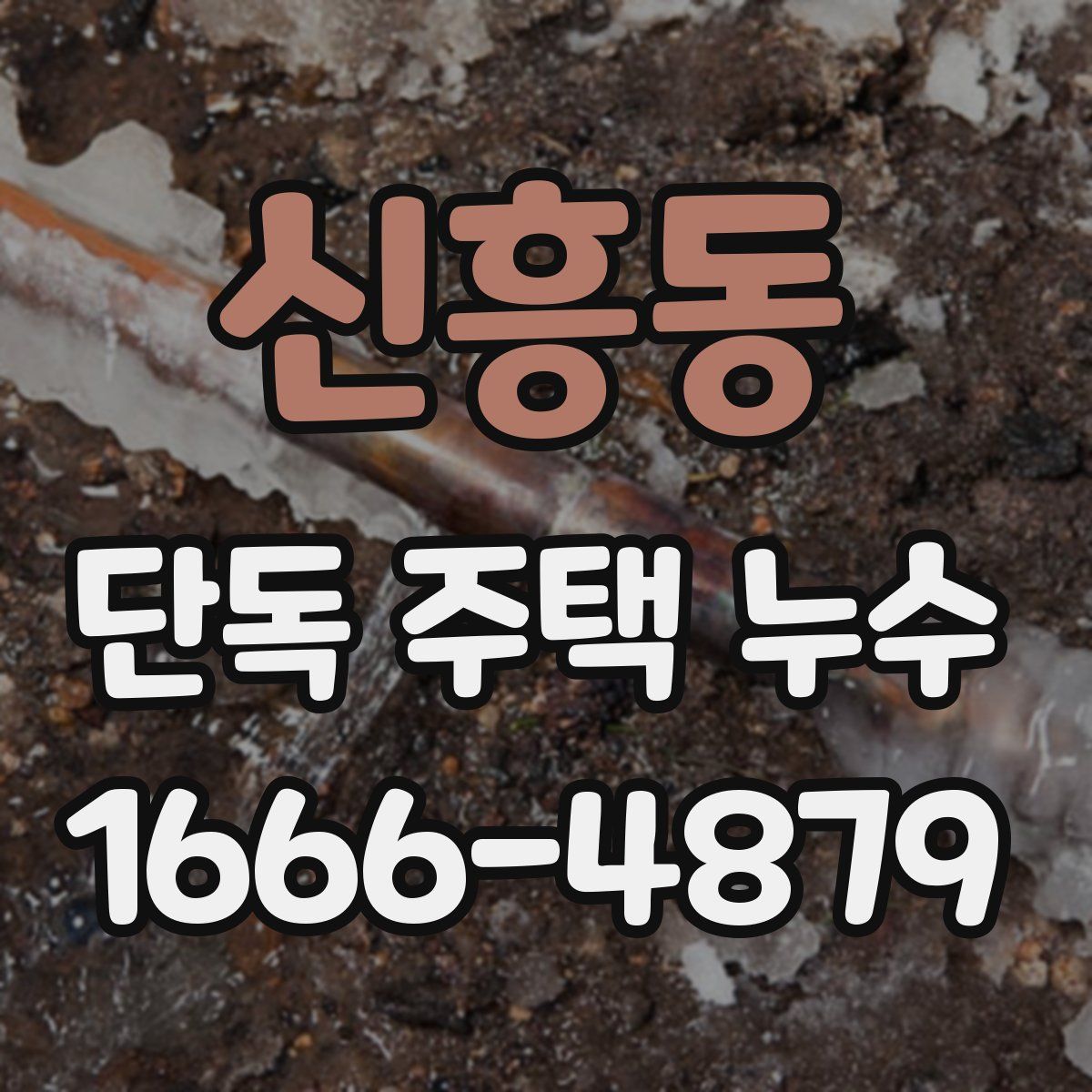 신흥동 단독 주택 누수