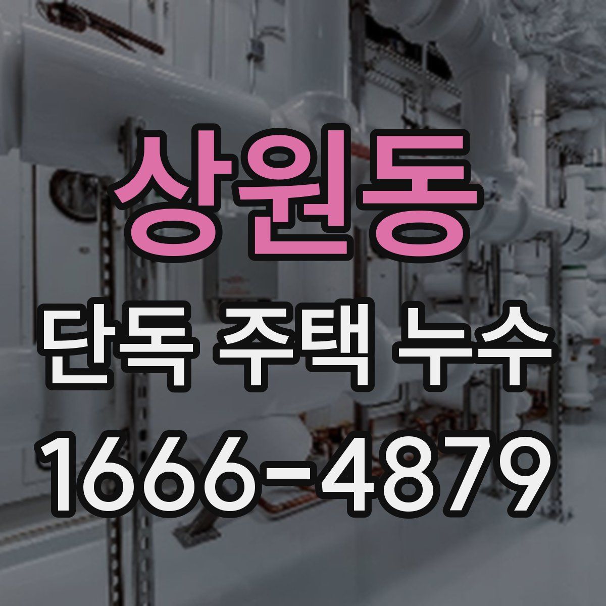 상원동 단독 주택 누수