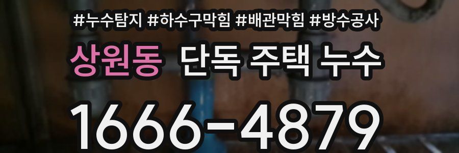 상원동 단독 주택 누수