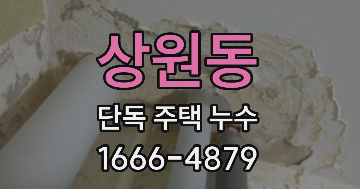 상원동 단독 주택 누수