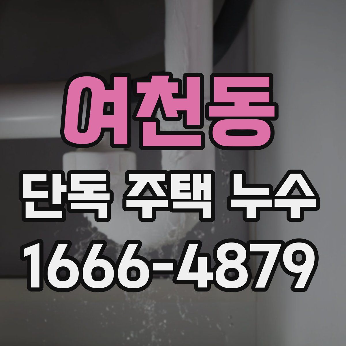 여천동 단독 주택 누수