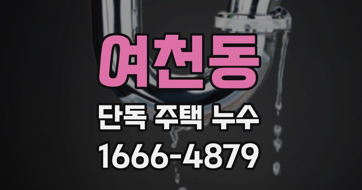 여천동 단독 주택 누수