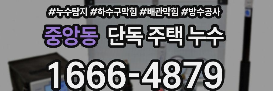중앙동 단독 주택 누수