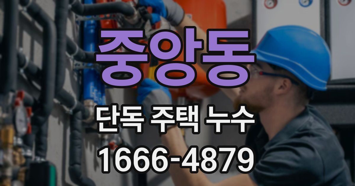 중앙동 단독 주택 누수