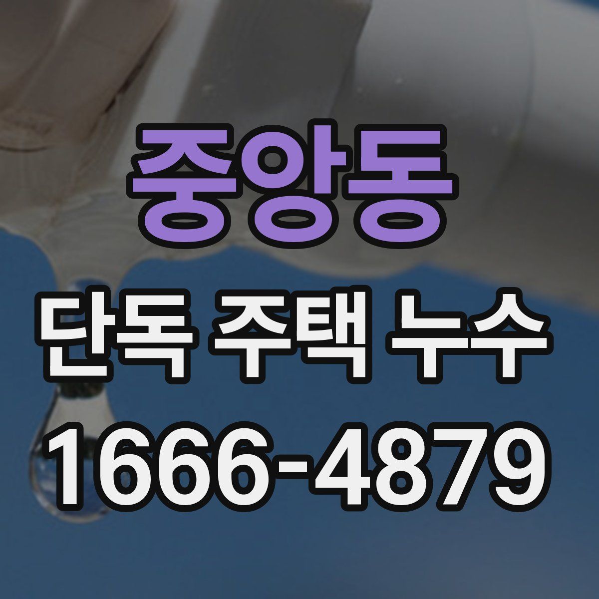 중앙동 단독 주택 누수