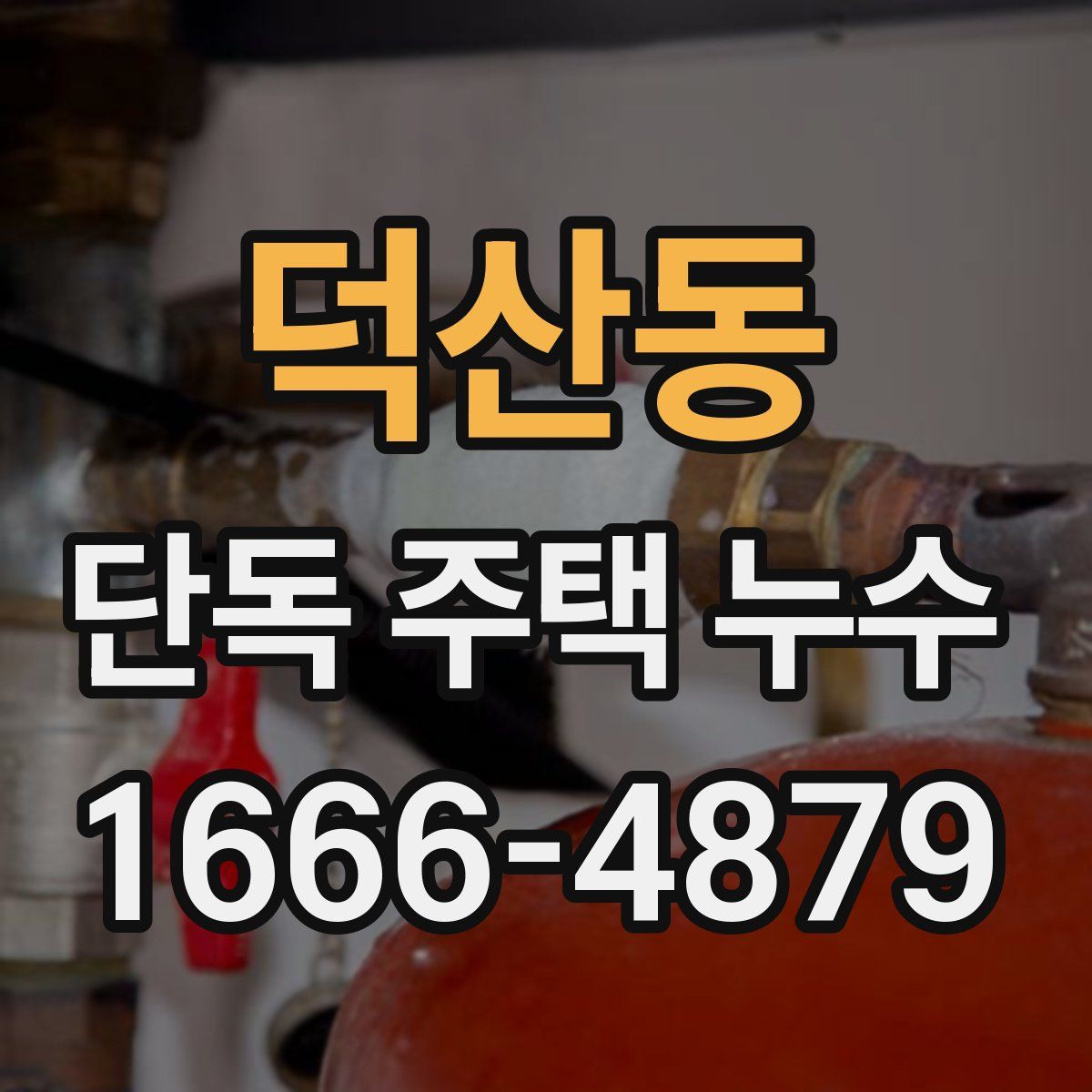 덕산동 단독 주택 누수
