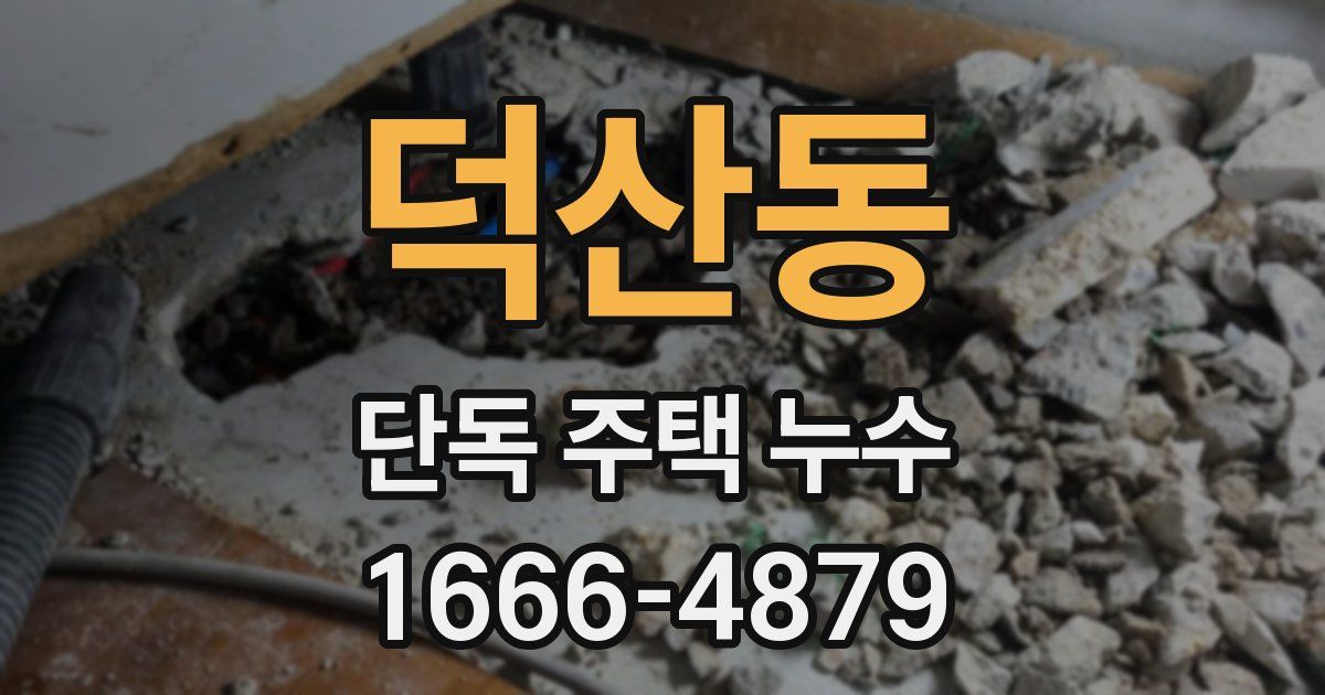 덕산동 단독 주택 누수
