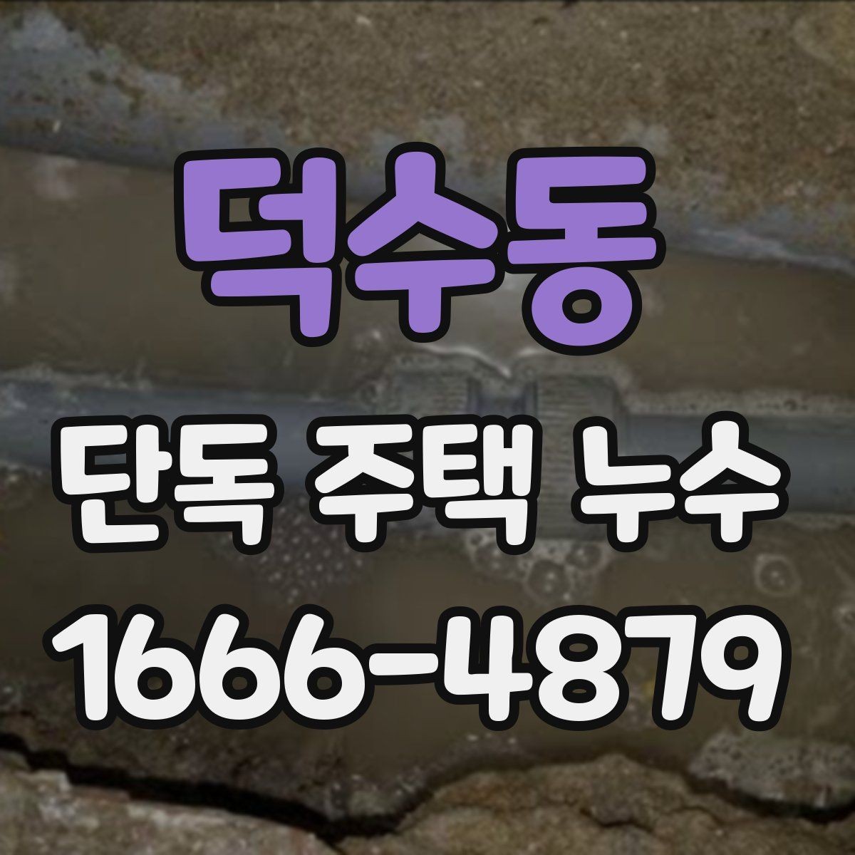 덕수동 단독 주택 누수 원인 분석을 위한 현장 확인