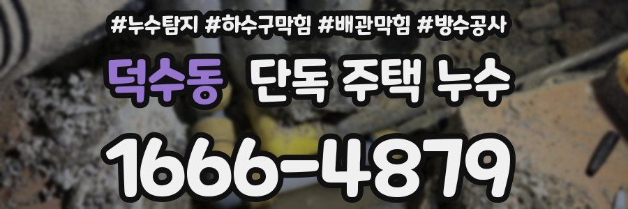 덕수동 단독 주택 누수