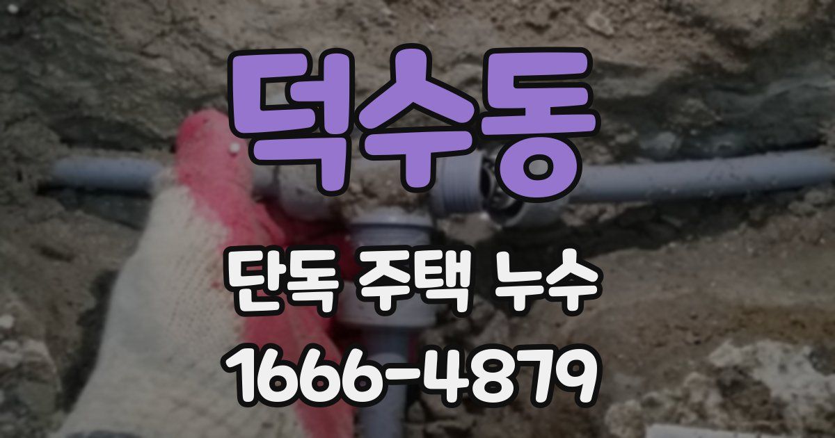 덕수동 단독 주택 누수