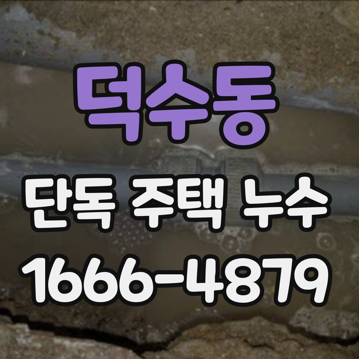 덕수동 단독 주택 누수