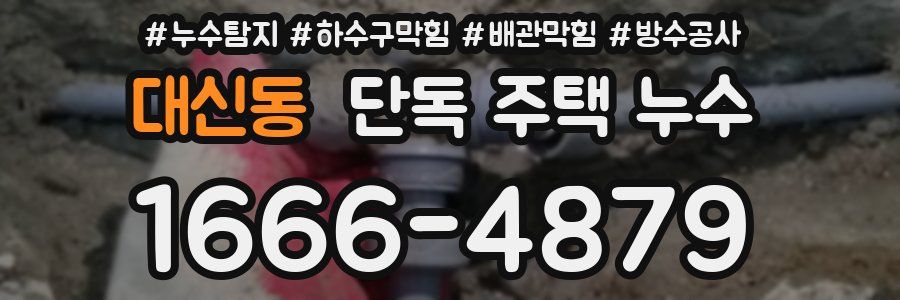대신동 단독 주택 누수