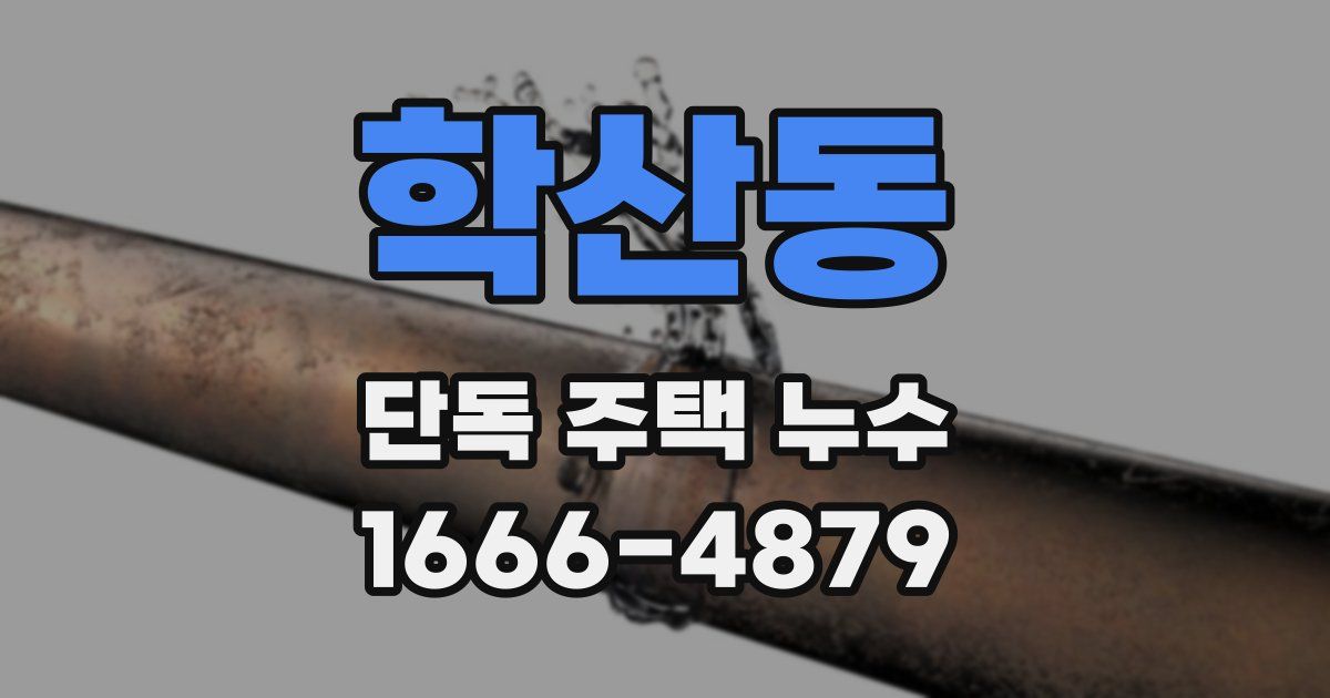 학산동 단독 주택 누수