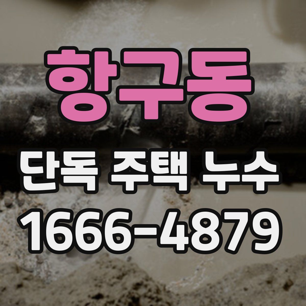 항구동 단독 주택 누수