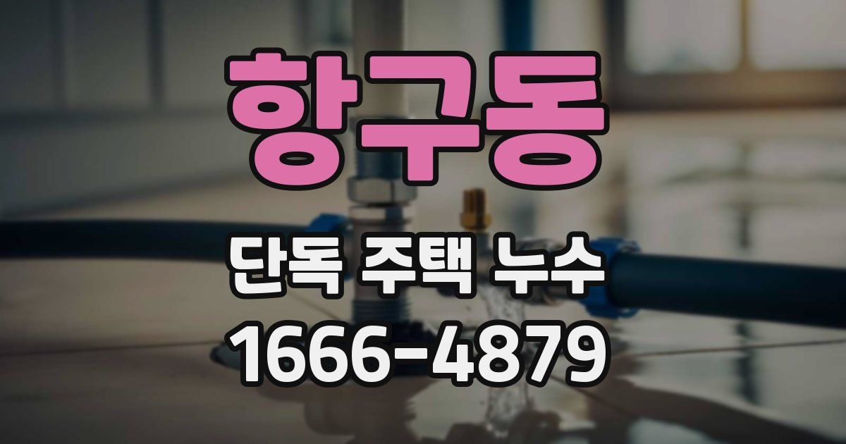 항구동 단독 주택 누수