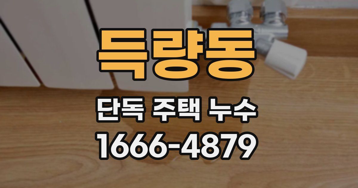 득량동 단독 주택 누수