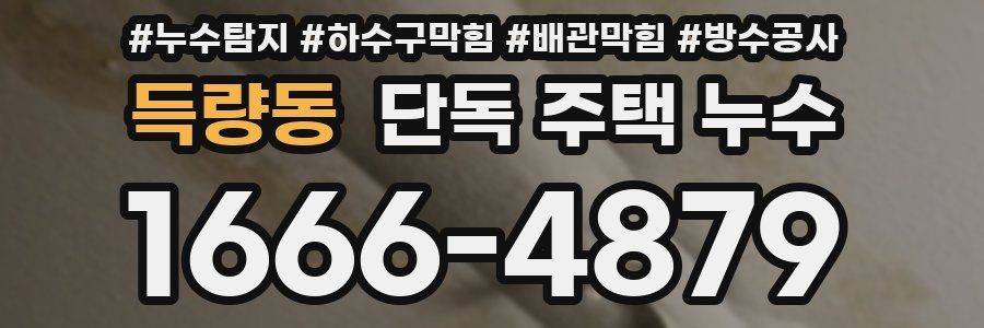득량동 단독 주택 누수