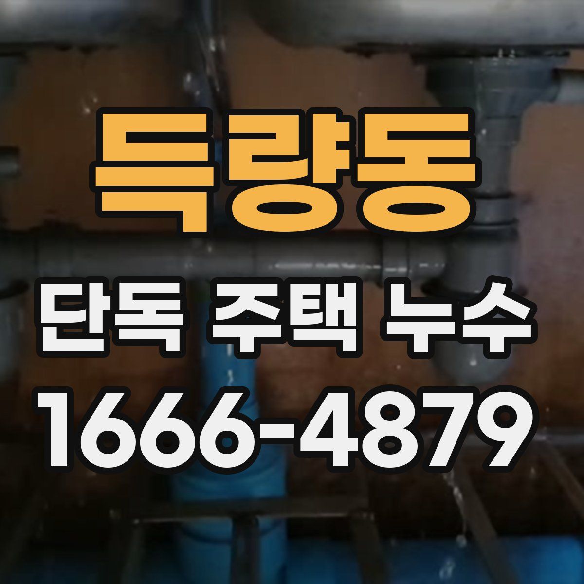 득량동 단독 주택 누수