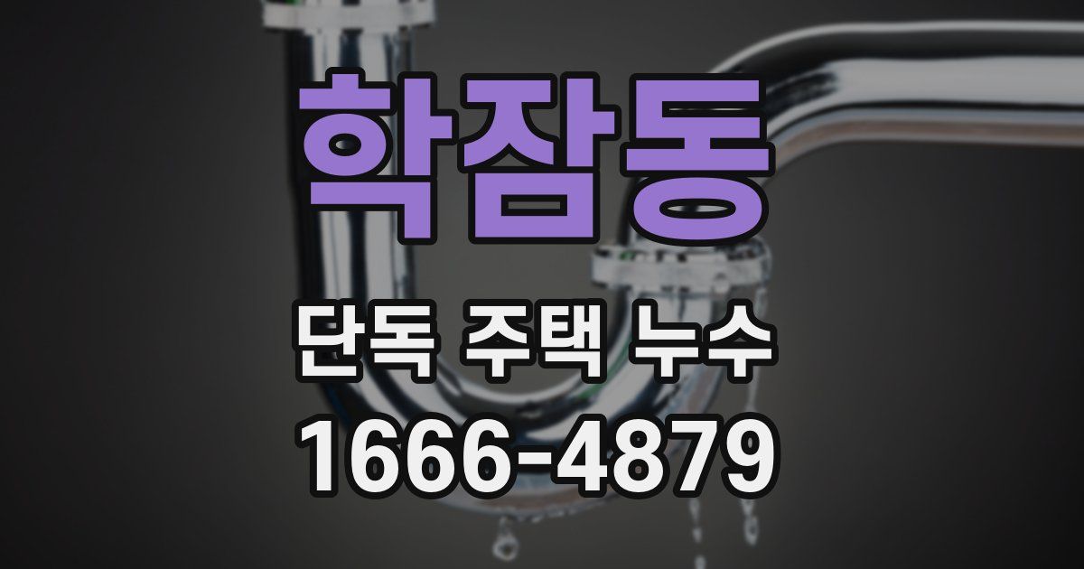 학잠동 단독 주택 누수