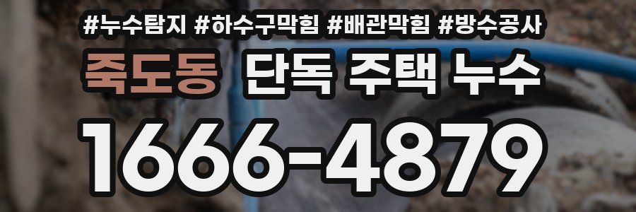 죽도동 단독 주택 누수