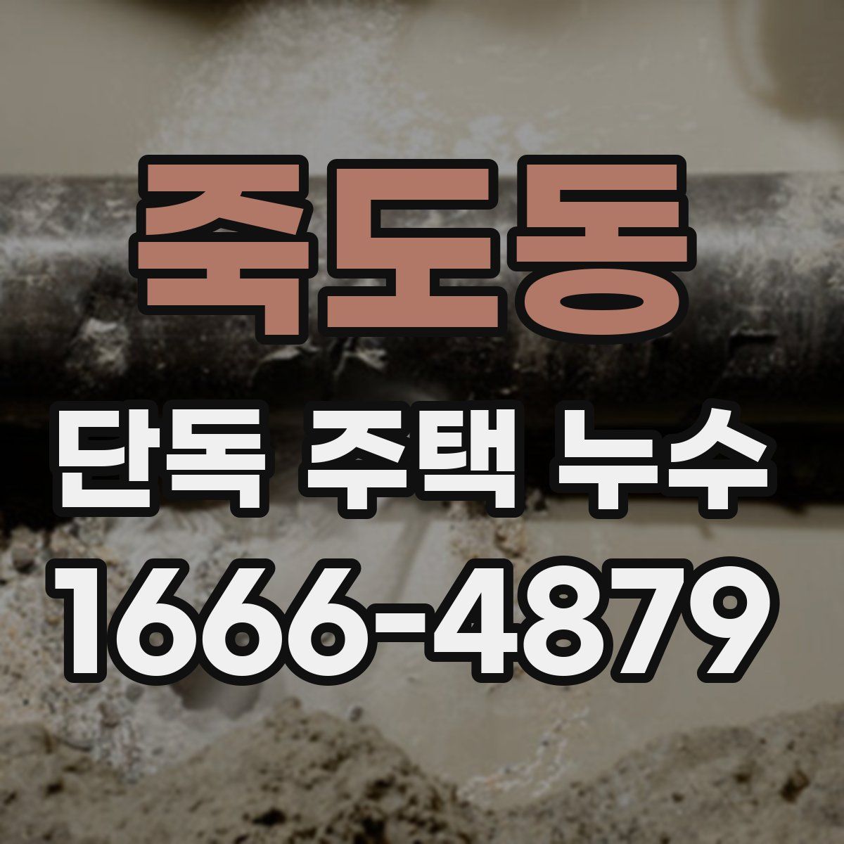 죽도동 단독 주택 누수