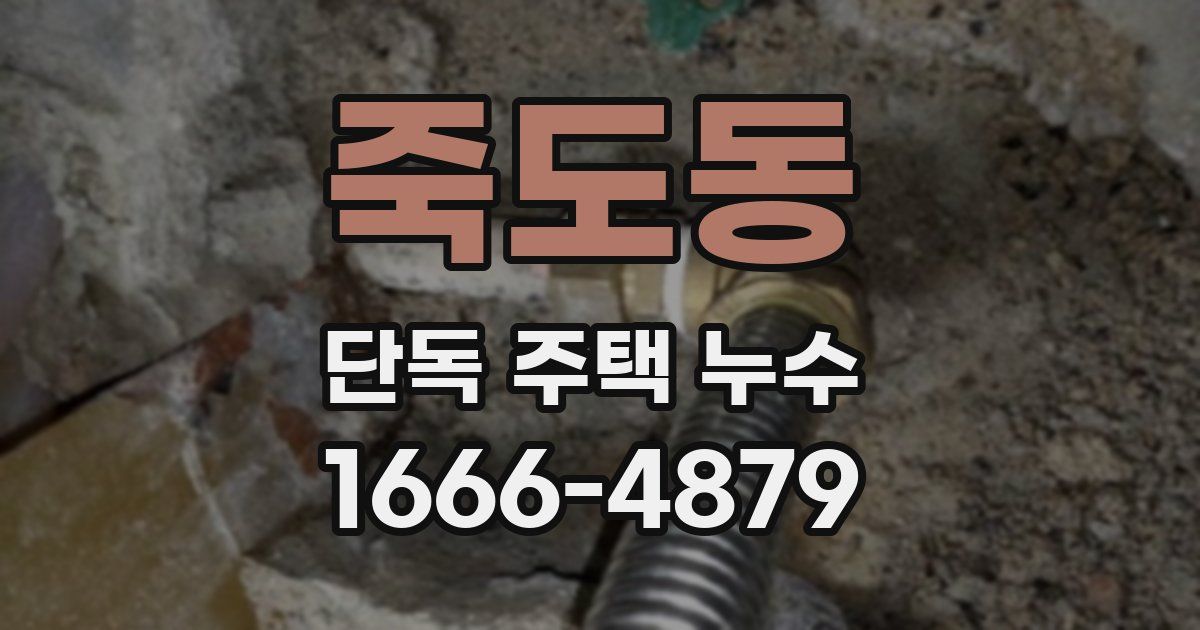 죽도동 단독 주택 누수