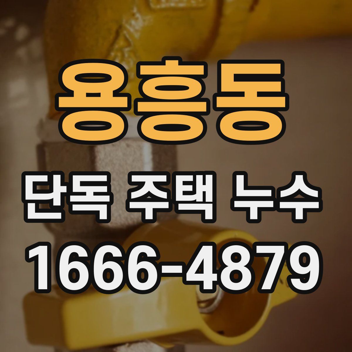 용흥동 단독 주택 누수