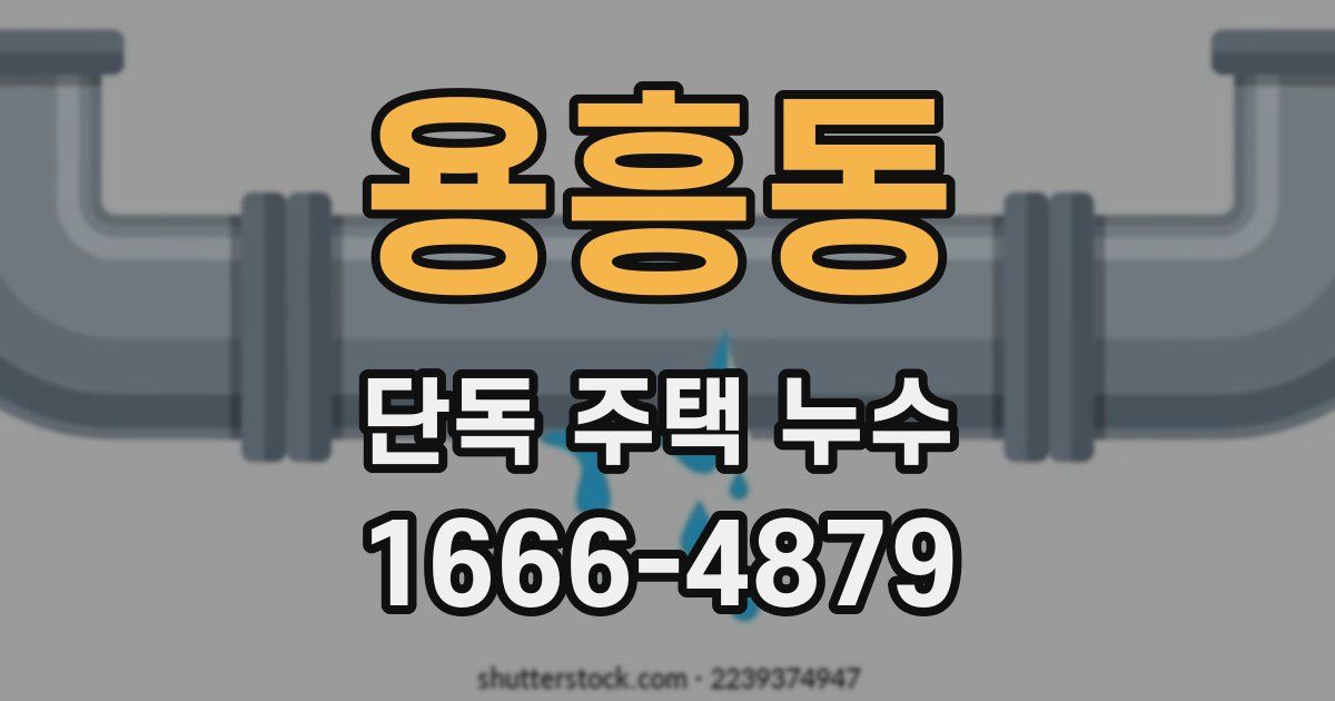 용흥동 단독 주택 누수