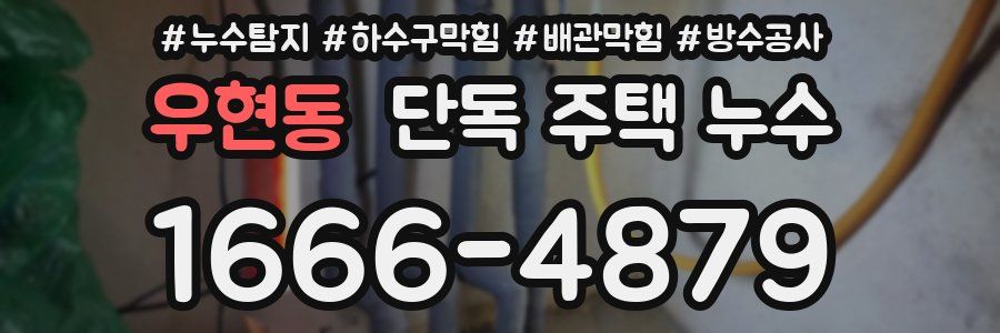 우현동 단독 주택 누수