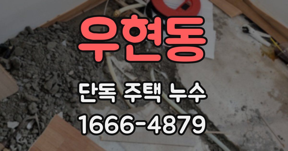 우현동 단독 주택 누수