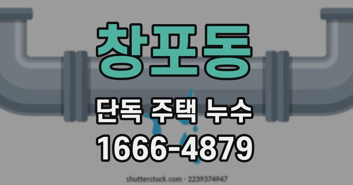 창포동 단독 주택 누수