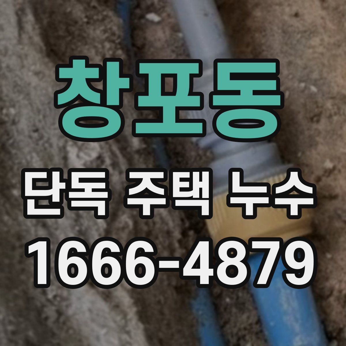 창포동 단독 주택 누수