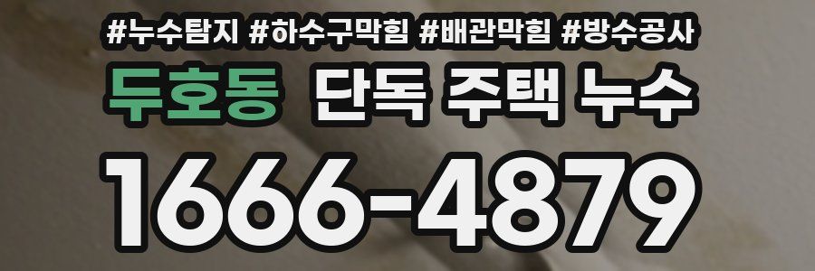 두호동 단독 주택 누수